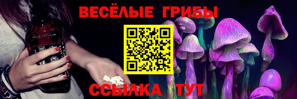 дарнет шоп  Галлюциногенные грибы GOLDEN TEACHER  Псилоцибиновые грибы Psilocybine cubensis  Вход с VPN  Балаково 